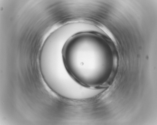 X0000088850813200706221658