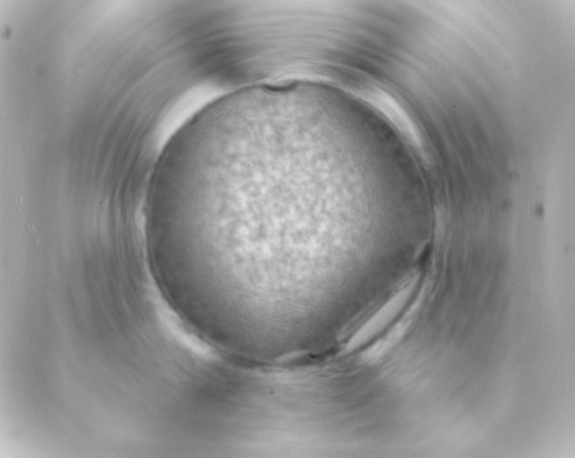 X0000088850814200706221658