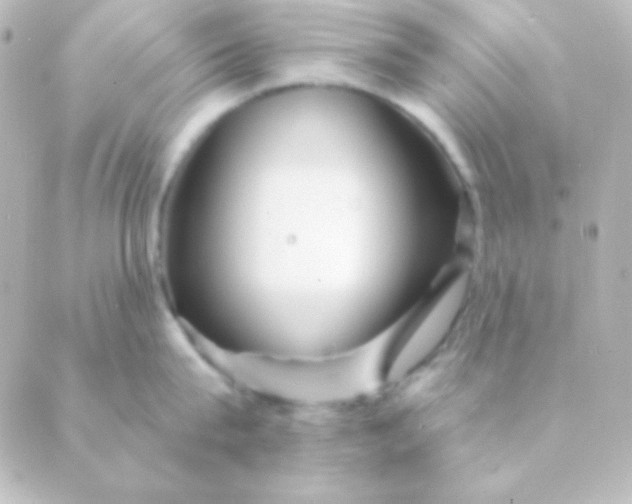 X0000088850815200706221658