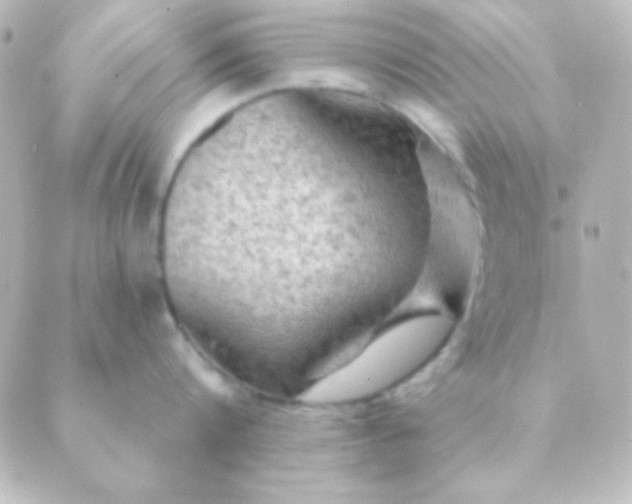 X0000088850816200706221658