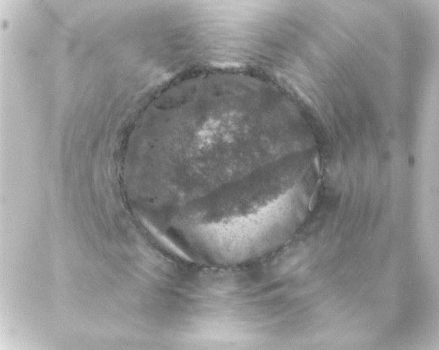 X0000088850817200706221658