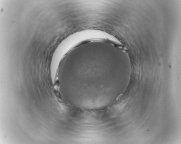 X0000088850818200706221658