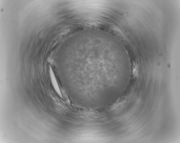 X0000088850819200706221658