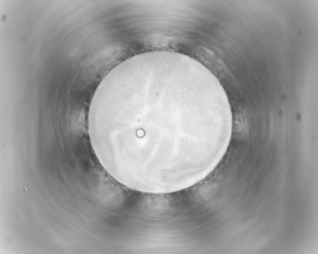 X0000088850820200706221658