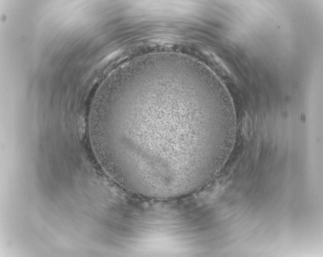 X0000088850821200706221658