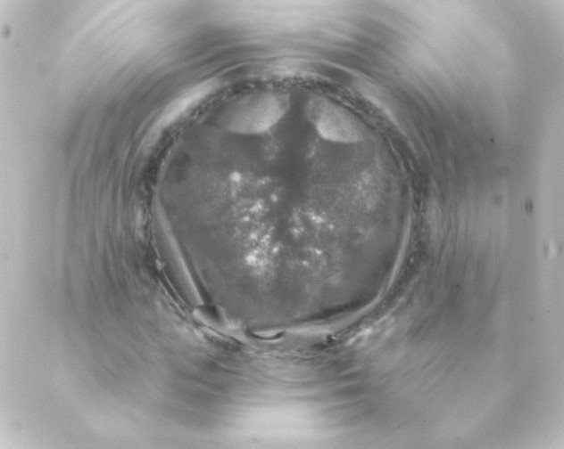 X0000088850823200706221658