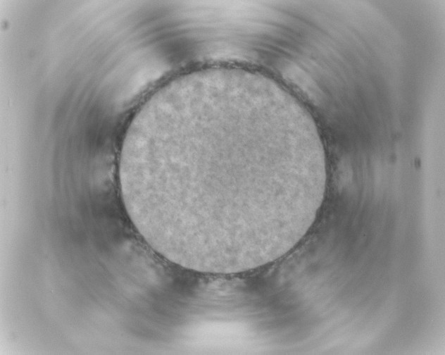 X0000088850824200706221658