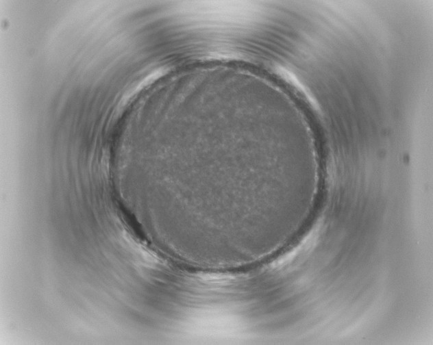 X0000088850825200706221658