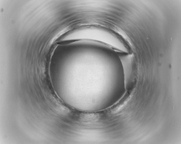 X0000088850826200706221658