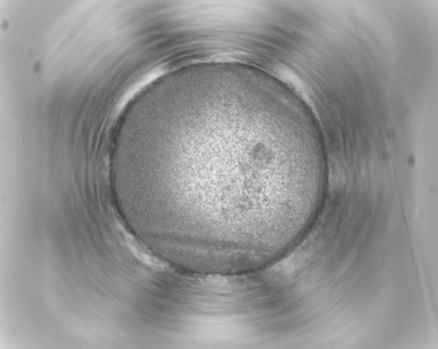 X0000088850827200706221658