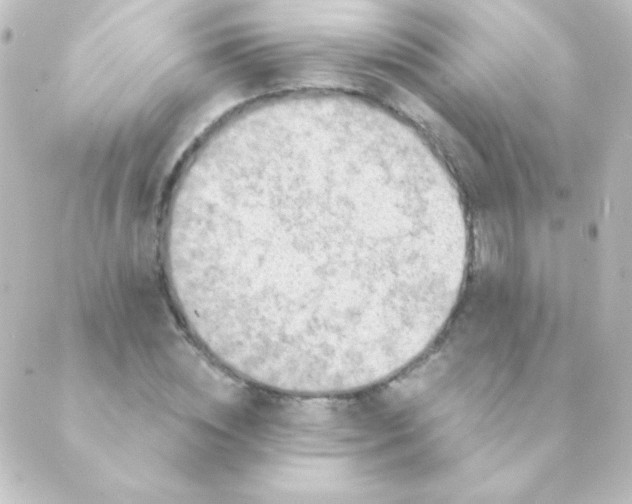 X0000088850828200706221658