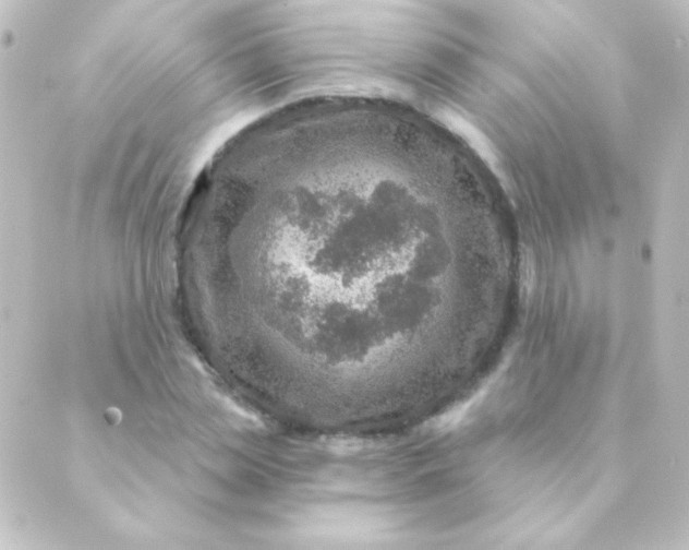 X0000088850829200706221658