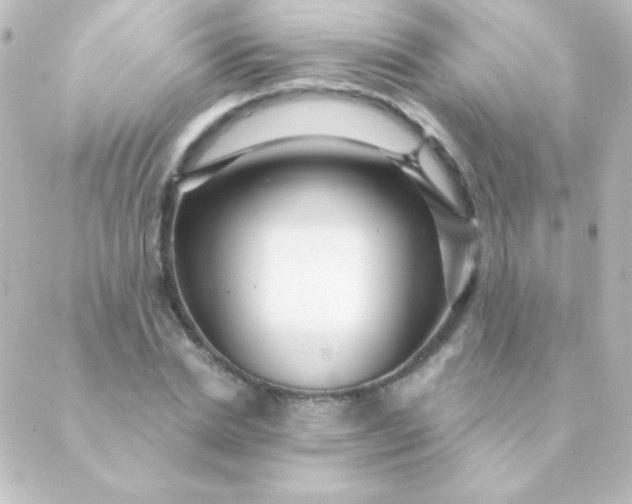 X0000088850830200706221658