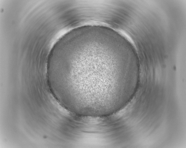 X0000088850831200706221658