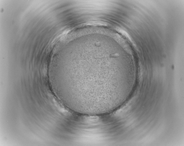 X0000088850833200706221658