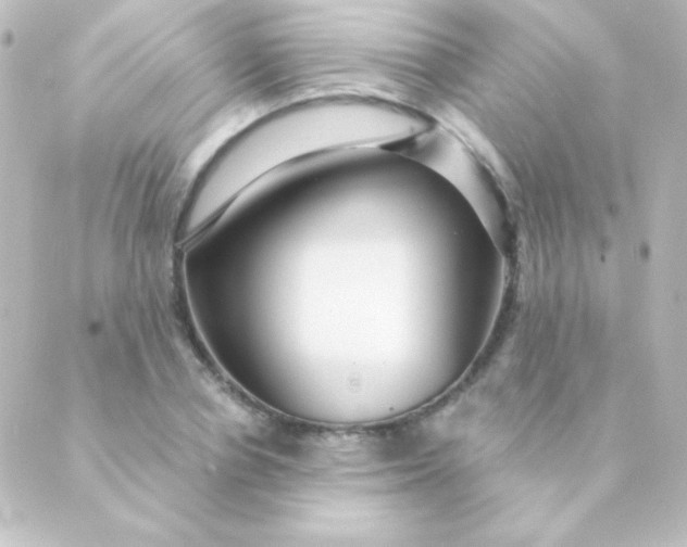 X0000088850834200706221658