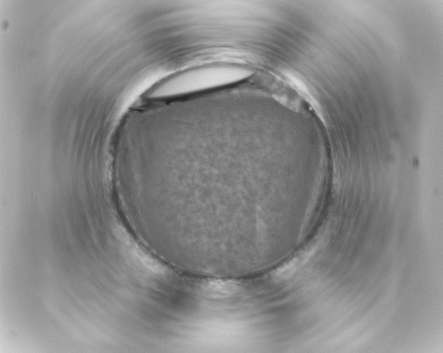 X0000088850835200706221658