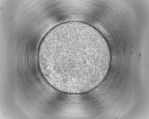 X0000088850836200706221658