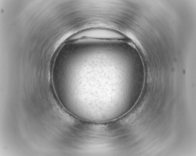 X0000088850837200706221658