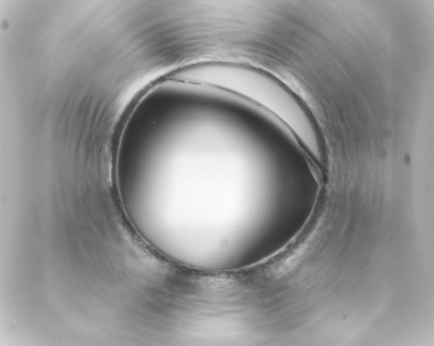 X0000088850838200706221658