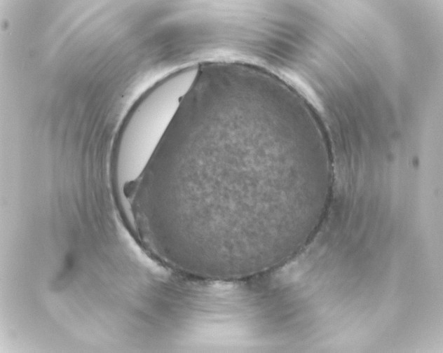 X0000088850839200706221658