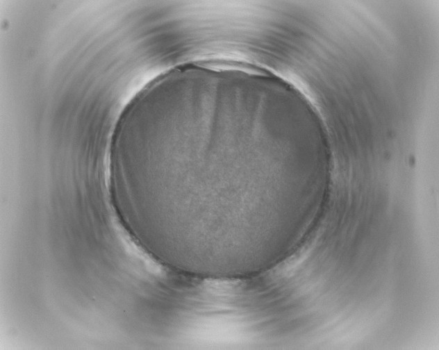 X0000088850840200706221658