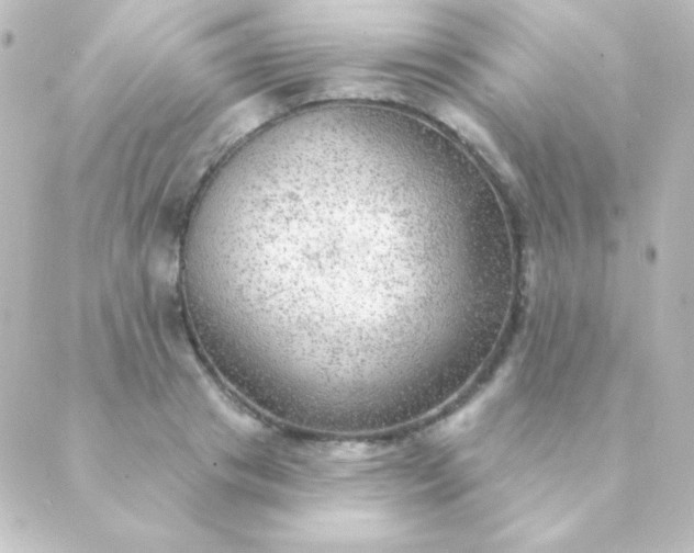 X0000088850841200706221658