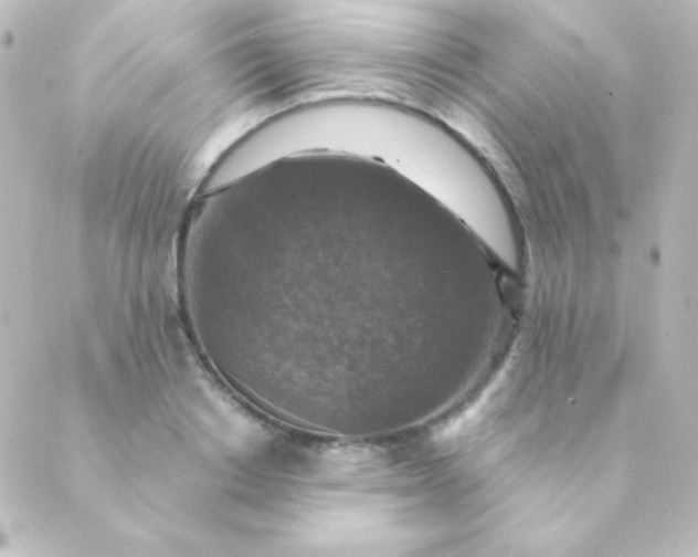 X0000088850842200706221658