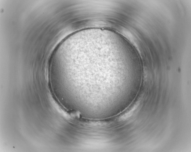 X0000088850843200706221658