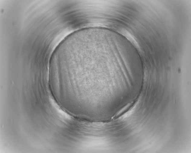 X0000088850844200706221658