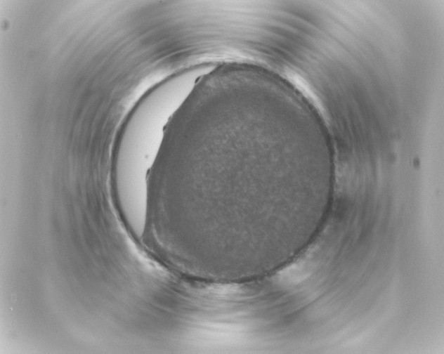 X0000088850845200706221658