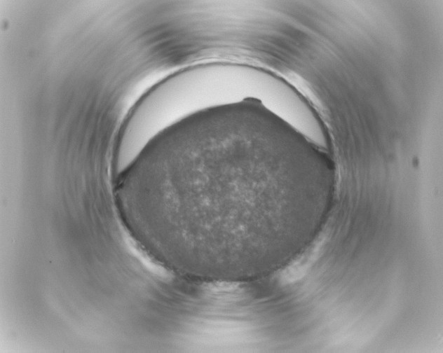 X0000088850846200706221658