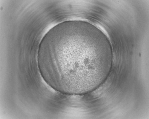 X0000088850847200706221658