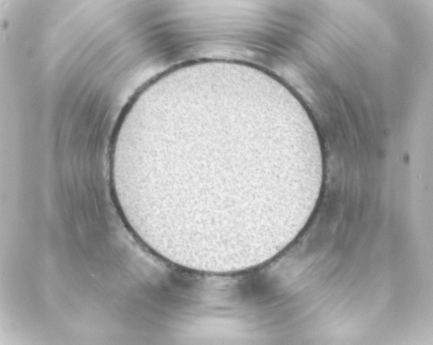 X0000088850848200706221658