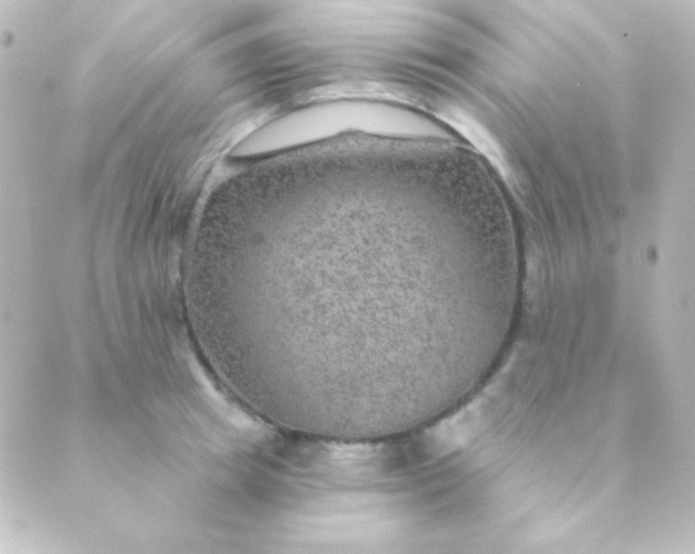 X0000088850849200706221658