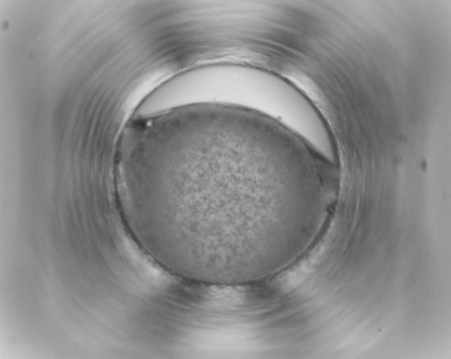 X0000088850850200706221658