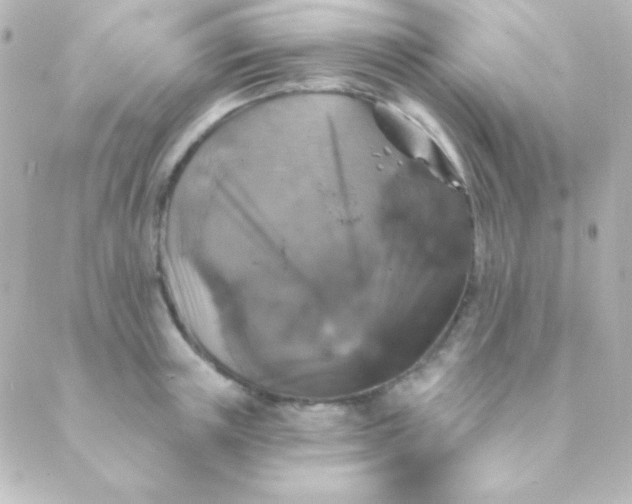 X0000088850851200706221658