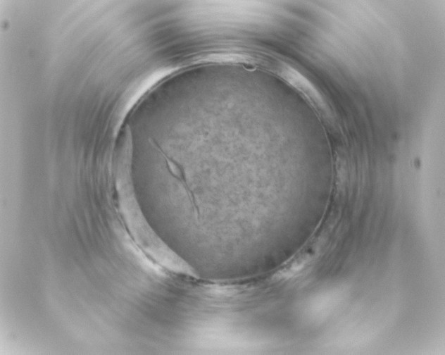 X0000088850852200706221658