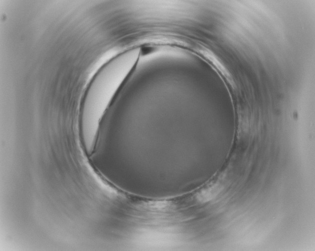 X0000088850853200706221658