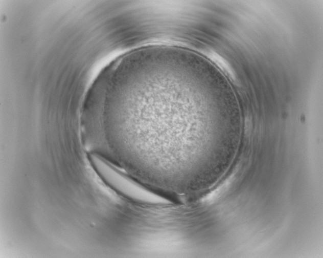 X0000088850854200706221658