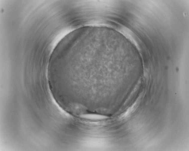 X0000088850855200706221658