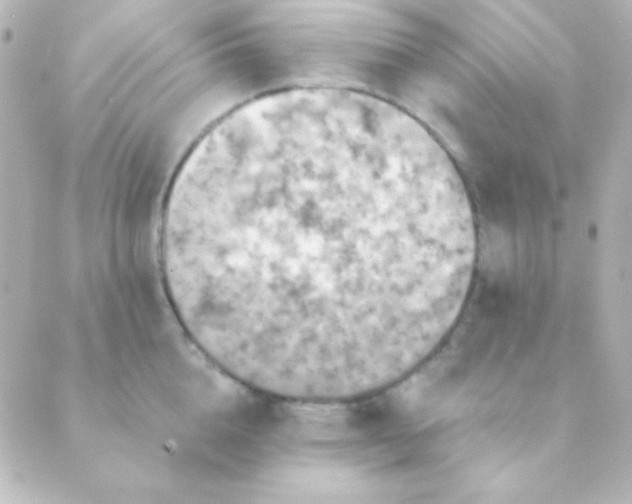 X0000088850856200706221658