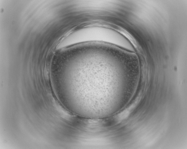 X0000088850857200706221658