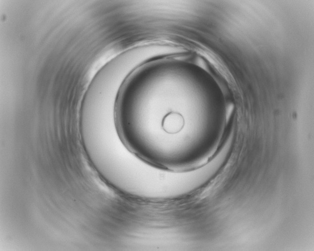 X0000088850858200706221658