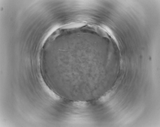 X0000088850859200706221658