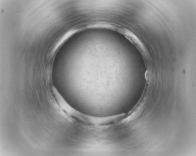 X0000088850860200706221658