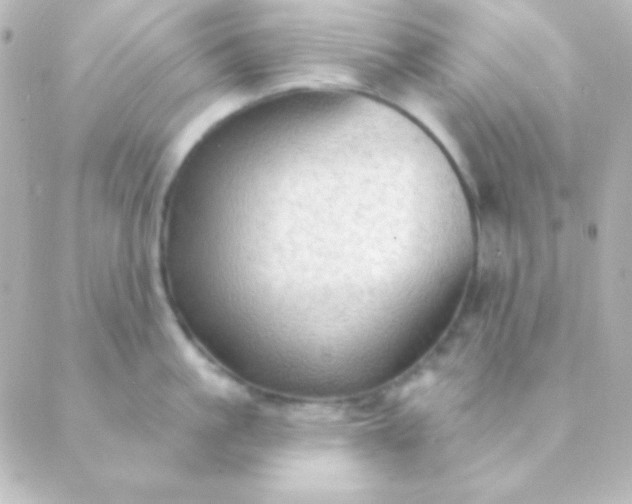 X0000088850861200706221658