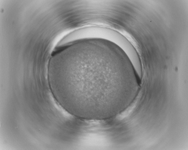 X0000088850862200706221658