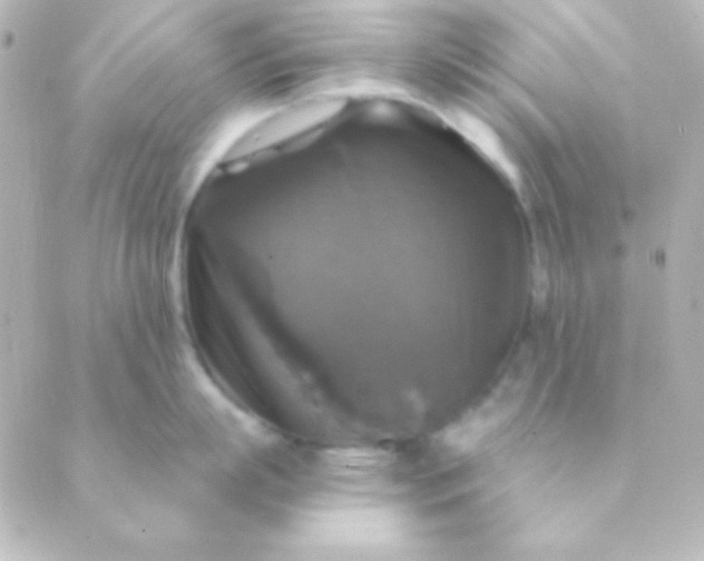 X0000088850863200706221658