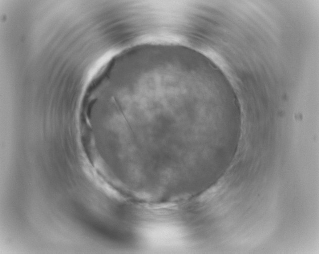 X0000088850864200706221658